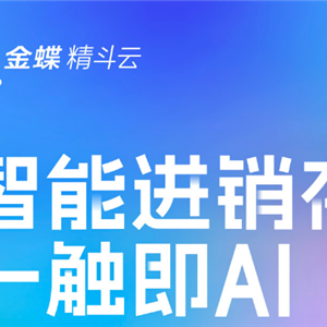 金蝶软件
